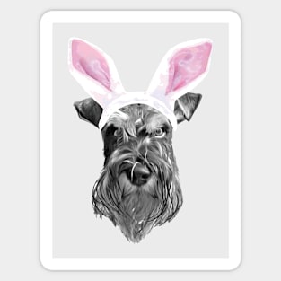 Schnauzer Bunny Sticker